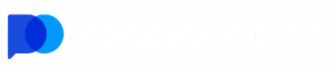 Pocket Option application.
